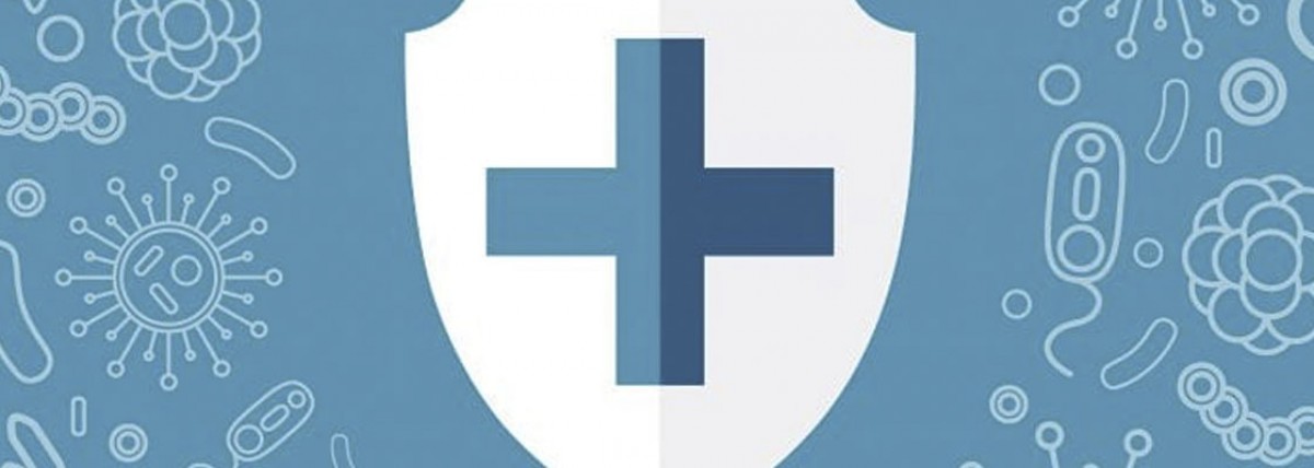 Modelado de la inmunidad del escudo para reducir la propagación de la epidemia de COVID-19