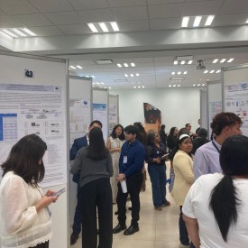 IX CONGRESO AMIINSHAE