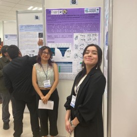 IX CONGRESO AMIINSHAE