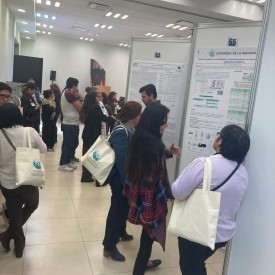 IX CONGRESO AMIINSHAE