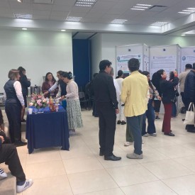 IX CONGRESO AMIINSHAE