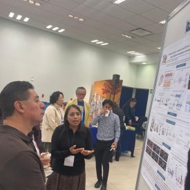 IX CONGRESO AMIINSHAE