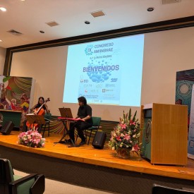 IX CONGRESO AMIINSHAE