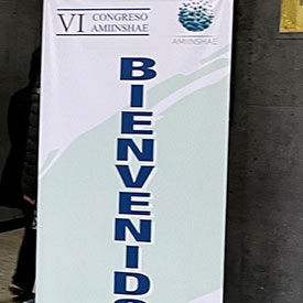 VI CONGRESO AMIINSHAE